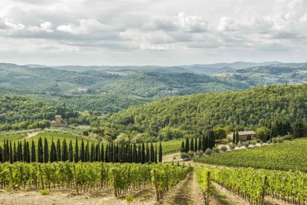 Wine Tours in Tuscany: 4 Itinerary Ideas - Italy Perfect Travel Blog ...