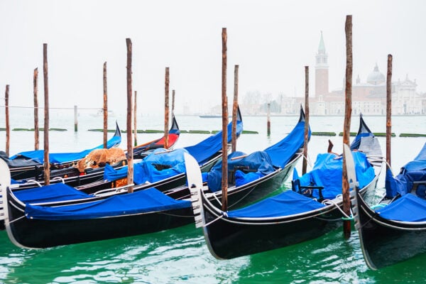 Venice in the Rain